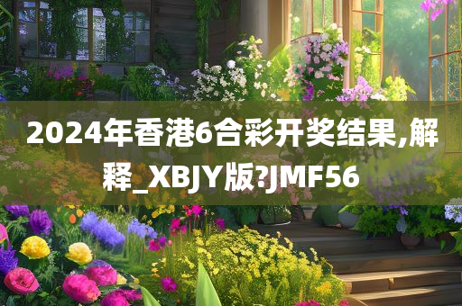 2024年香港6合彩开奖结果,解释_XBJY版?JMF56