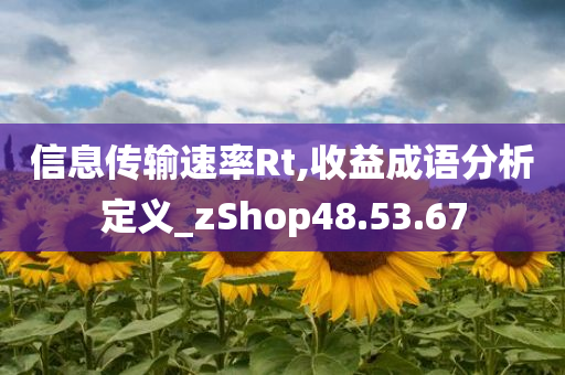 信息传输速率Rt,收益成语分析定义_zShop48.53.67