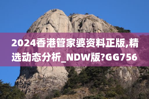 2024香港管家婆资料正版,精选动态分析_NDW版?GG756