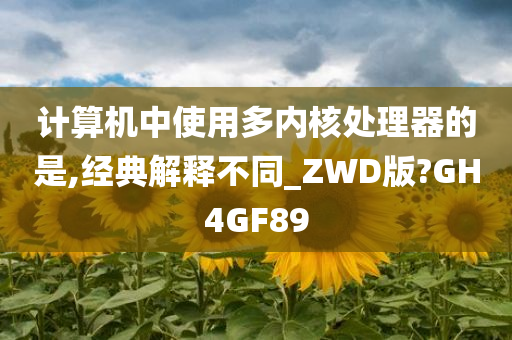 计算机中使用多内核处理器的是,经典解释不同_ZWD版?GH4GF89