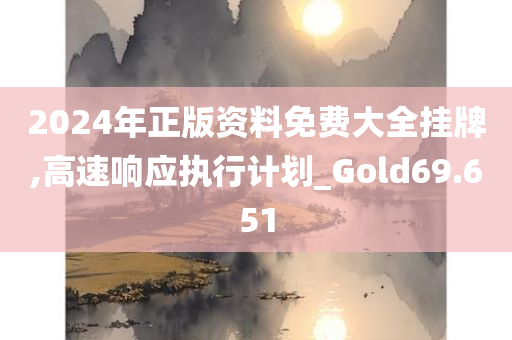 2024年正版资料免费大全挂牌,高速响应执行计划_Gold69.651