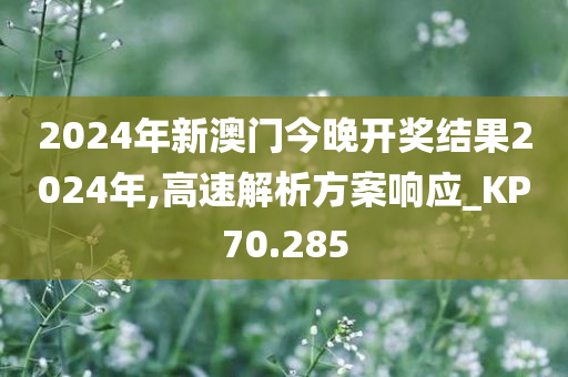 2024年新澳门今晚开奖结果2024年,高速解析方案响应_KP70.285