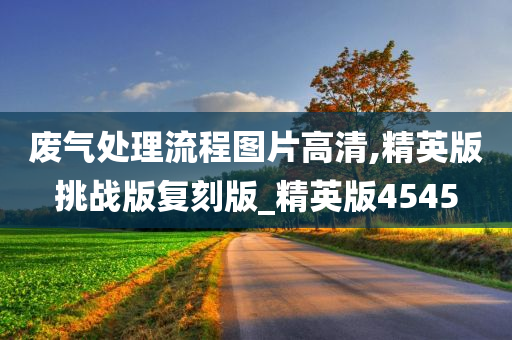 废气处理流程图片高清,精英版挑战版复刻版_精英版4545