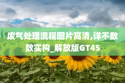 废气处理流程图片高清,详不数数实构_解放版GT45