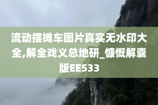 流动摆摊车图片真实无水印大全,解全戏义总地研_慷慨解囊版EE533