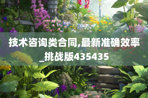 技术咨询类合同,最新准确效率_挑战版435435