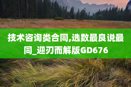 技术咨询类合同,选数最良说最同_迎刃而解版GD676