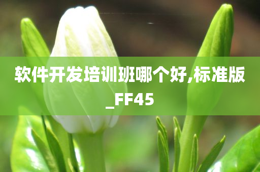 软件开发培训班哪个好,标准版_FF45