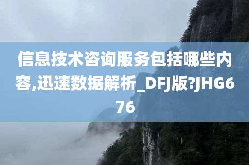 信息技术咨询服务包括哪些内容,迅速数据解析_DFJ版?JHG676