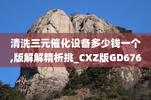 清洗三元催化设备多少钱一个,版解解精析挑_CXZ版GD676