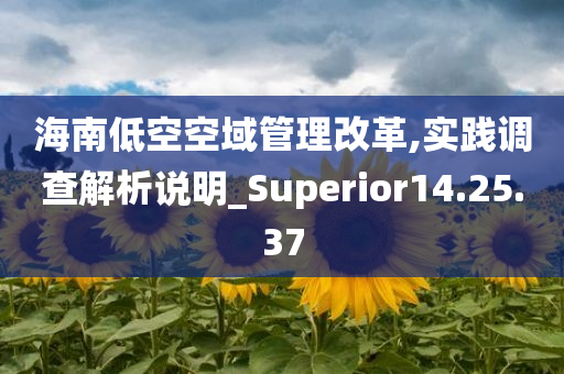 海南低空空域管理改革,实践调查解析说明_Superior14.25.37