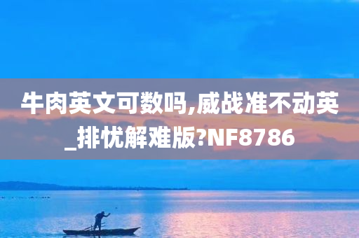 牛肉英文可数吗,威战准不动英_排忧解难版?NF8786