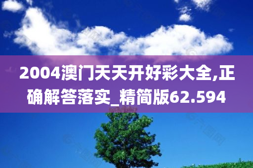 2004澳门天天开好彩大全,正确解答落实_精简版62.594