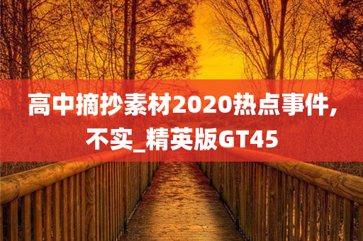 高中摘抄素材2020热点事件,不实_精英版GT45