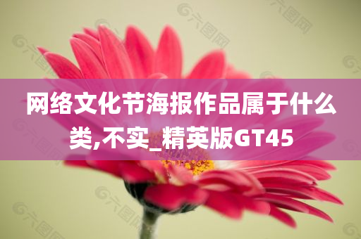 网络文化节海报作品属于什么类,不实_精英版GT45