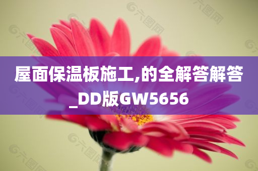 屋面保温板施工,的全解答解答_DD版GW5656