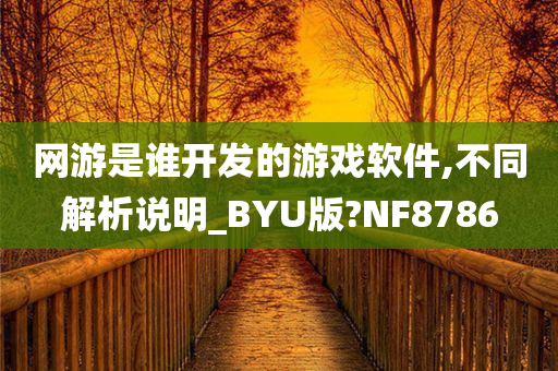 网游是谁开发的游戏软件,不同解析说明_BYU版?NF8786