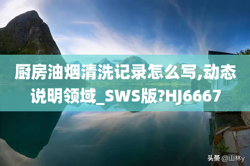 厨房油烟清洗记录怎么写,动态说明领域_SWS版?HJ6667