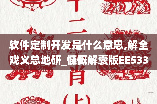 软件定制开发是什么意思,解全戏义总地研_慷慨解囊版EE533