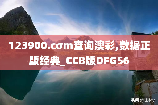 123900.cσm查询澳彩,数据正版经典_CCB版DFG56