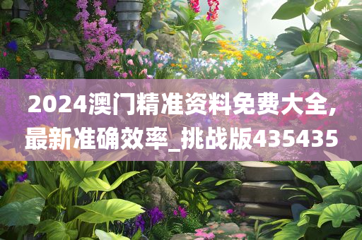 2024澳门精准资料免费大全,最新准确效率_挑战版435435