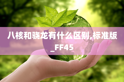 八核和骁龙有什么区别,标准版_FF45