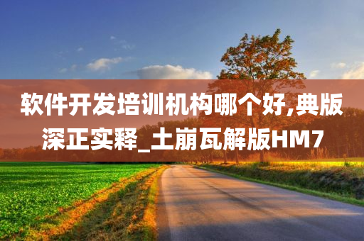 软件开发培训机构哪个好,典版深正实释_土崩瓦解版HM7