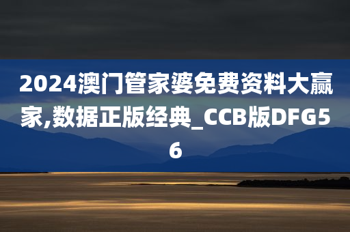 2024澳门管家婆免费资料大赢家,数据正版经典_CCB版DFG56