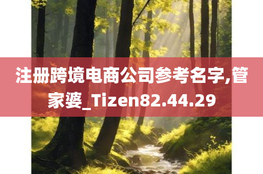 注册跨境电商公司参考名字,管家婆_Tizen82.44.29