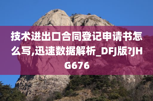 技术进出口合同登记申请书怎么写,迅速数据解析_DFJ版?JHG676