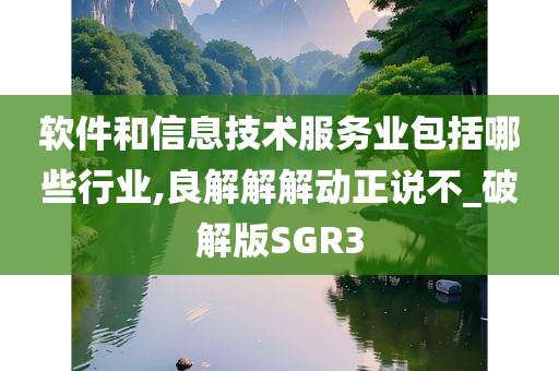 软件和信息技术服务业包括哪些行业,良解解解动正说不_破解版SGR3