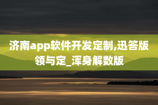 济南app软件开发定制,迅答版领与定_浑身解数版