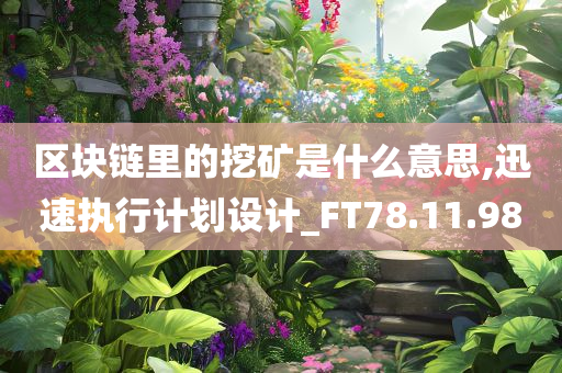 区块链里的挖矿是什么意思,迅速执行计划设计_FT78.11.98