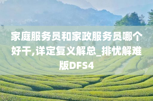 家庭服务员和家政服务员哪个好干,详定复义解总_排忧解难版DFS4