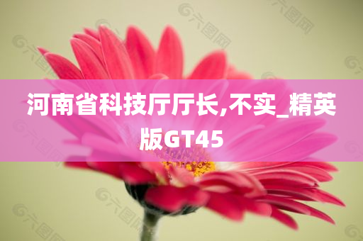 河南省科技厅厅长,不实_精英版GT45