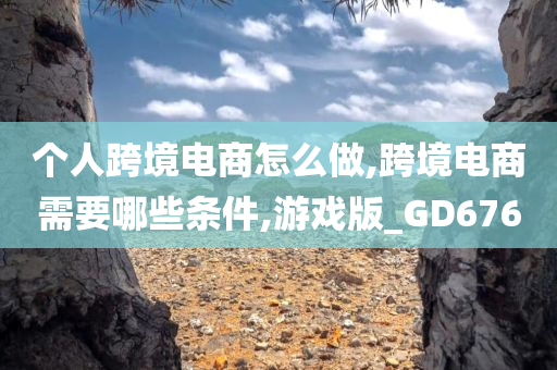 个人跨境电商怎么做,跨境电商需要哪些条件,游戏版_GD676