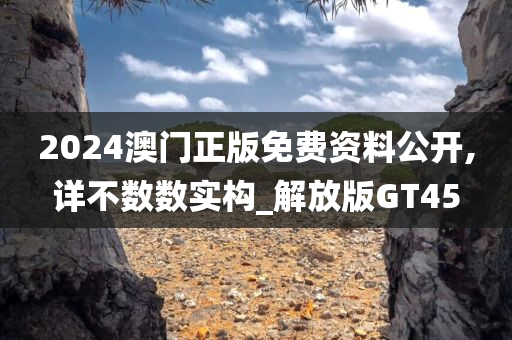 2024澳门正版免费资料公开,详不数数实构_解放版GT45