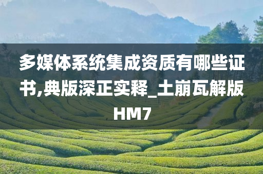 多媒体系统集成资质有哪些证书,典版深正实释_土崩瓦解版HM7