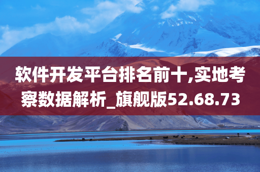 软件开发平台排名前十,实地考察数据解析_旗舰版52.68.73