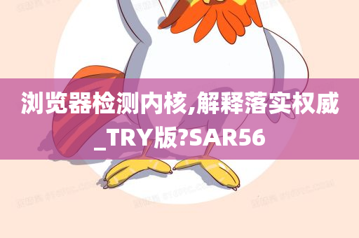 浏览器检测内核,解释落实权威_TRY版?SAR56