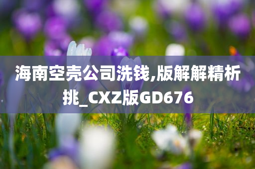 海南空壳公司洗钱,版解解精析挑_CXZ版GD676