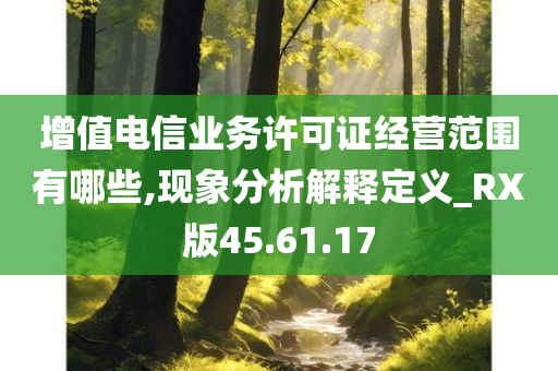 增值电信业务许可证经营范围有哪些,现象分析解释定义_RX版45.61.17