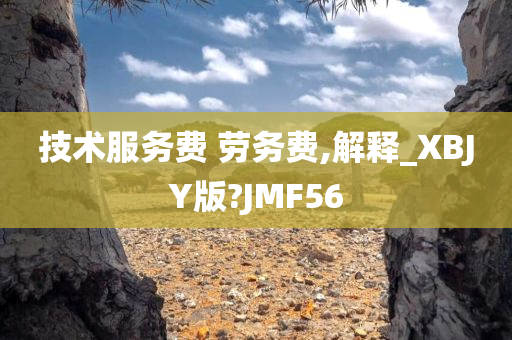 技术服务费 劳务费,解释_XBJY版?JMF56