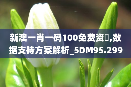 新澳一肖一码100免费资枓,数据支持方案解析_5DM95.299