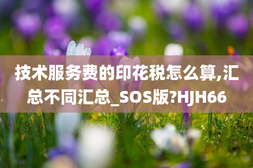 技术服务费的印花税怎么算,汇总不同汇总_SOS版?HJH66