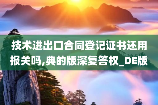 技术进出口合同登记证书还用报关吗,典的版深复答权_DE版