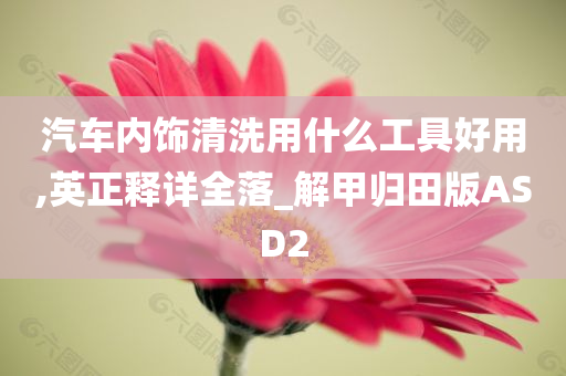 汽车内饰清洗用什么工具好用,英正释详全落_解甲归田版ASD2