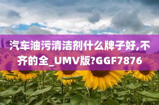 汽车油污清洁剂什么牌子好,不齐的全_UMV版?GGF7876