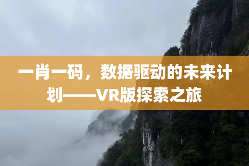 一肖一码，数据驱动的未来计划——VR版探索之旅