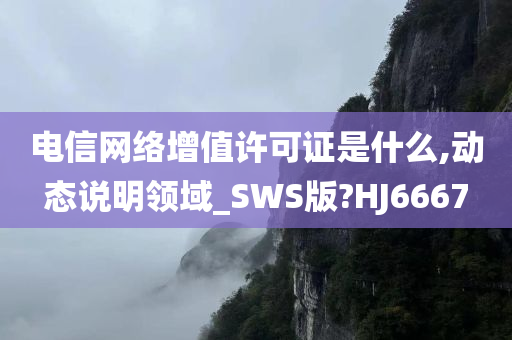 电信网络增值许可证是什么,动态说明领域_SWS版?HJ6667